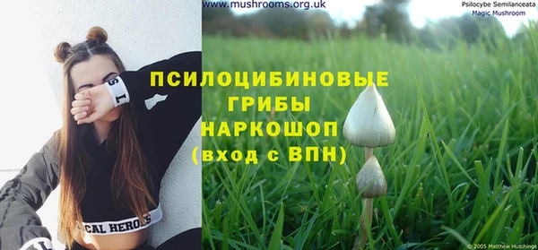тгк Беломорск