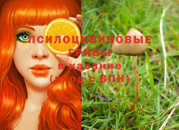 кокаин Белокуриха