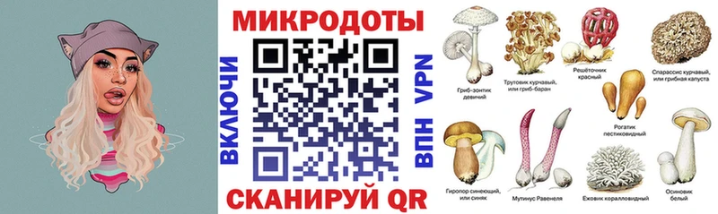купить закладку  Ростов-на-Дону  Псилоцибиновые грибы MAGIC MUSHROOMS 